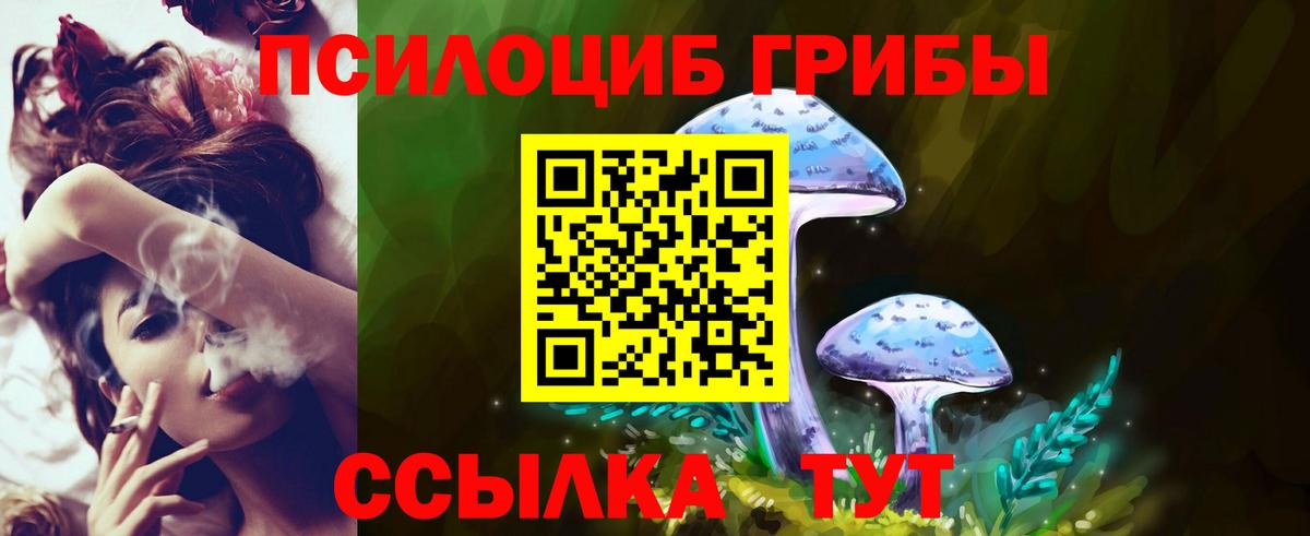 Галлюциногенные грибы Psilocybe  Псилоцибиновые грибы Psilocybine cubensis  Вход с VPN  Отрадный 